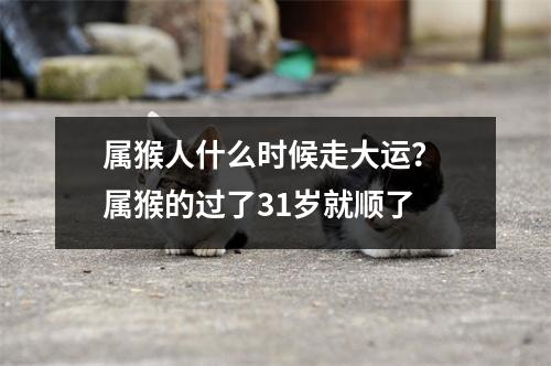 属猴人什么时候走大运？属猴的过了31岁就顺了