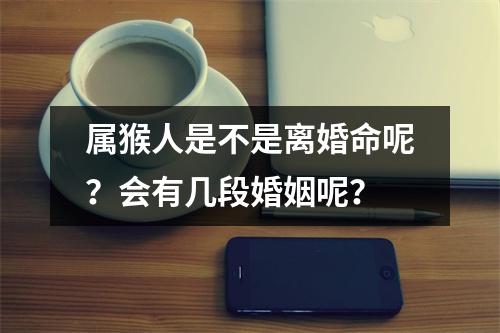 属猴人是不是离婚命呢？会有几段婚姻呢？