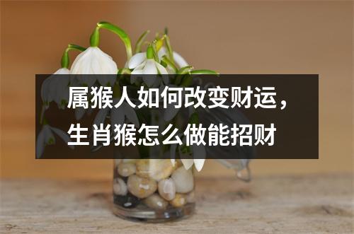 属猴人如何改变财运，生肖猴怎么做能招财