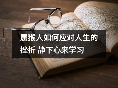 属猴人如何应对人生的挫折静下心来学习