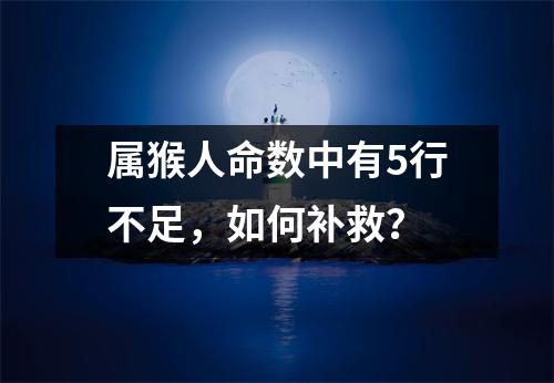 属猴人命数中有5行不足，如何补救？