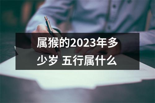 属猴的2025年多少岁五行属什么