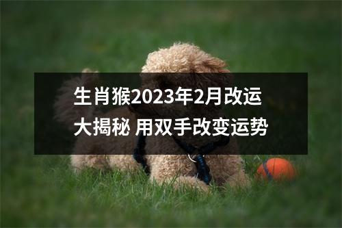 生肖猴2025年2月改运大揭秘用双手改变运势