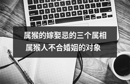 属猴的嫁娶忌的三个属相属猴人不合婚姻的对象