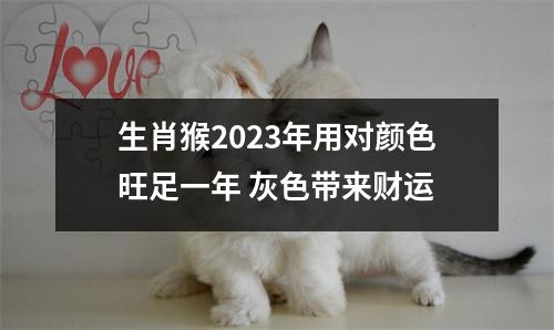 生肖猴2025年用对颜色旺足一年灰色带来财运