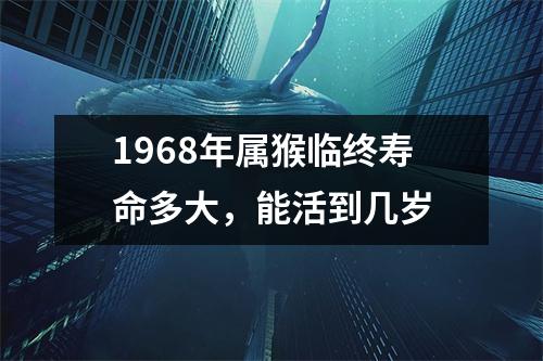 1968年属猴临终寿命多大，能活到几岁