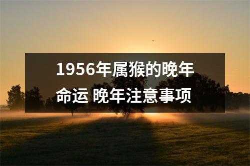 1956年属猴的晚年命运晚年注意事项