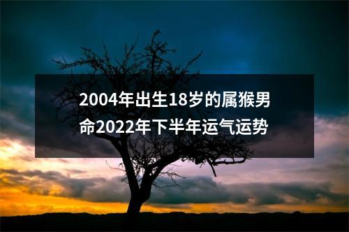 2004年出生18岁的属猴男命2025年下半年运气运势