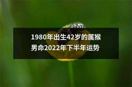 1980年出生42岁的属猴男命2025年下半年运势