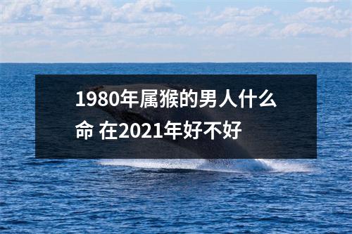 1980年属猴的男人什么命在2025年好不好