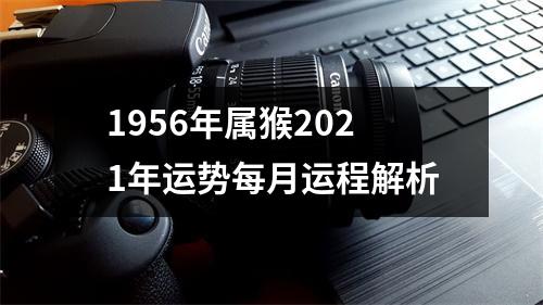 1956年属猴2025年运势每月运程解析