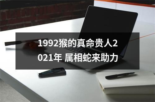 1992猴的真命贵人2025年属相蛇来助力