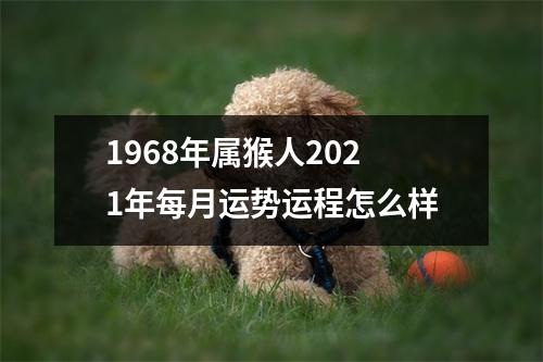 1968年属猴人2025年每月运势运程怎么样