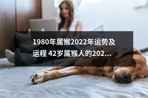 <h3>1980年属猴2025年运势及运程42岁属猴人的2025年每月运势详解