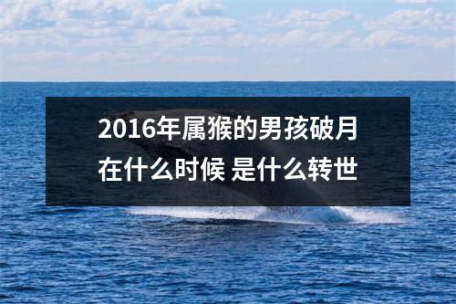 2016年属猴的男孩破月在什么时候是什么转世