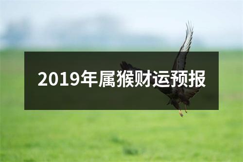 2019年属猴财运预报