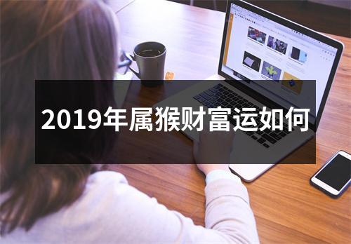 2019年属猴财富运如何