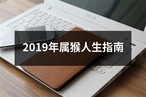 2019年属猴人生指南