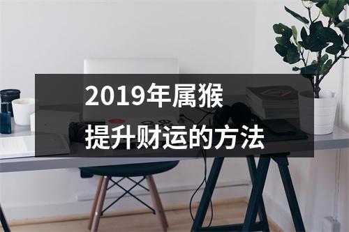 2019年属猴提升财运的方法