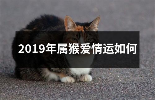 2019年属猴爱情运如何