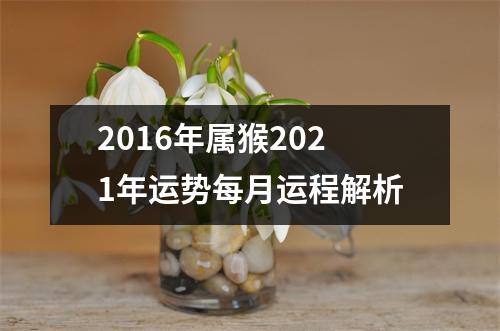 2016年属猴2025年运势每月运程解析