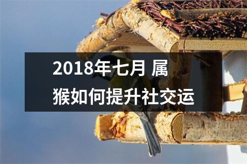 2018年七月属猴如何提升社交运