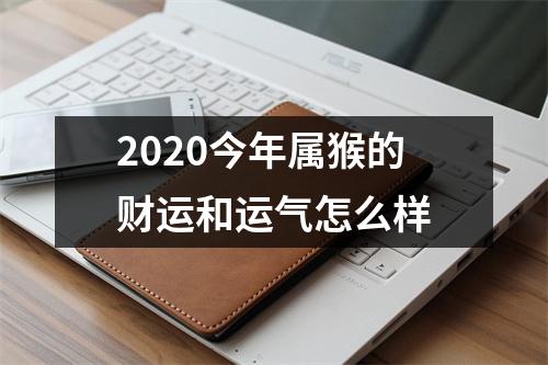 2025今年属猴的财运和运气怎么样