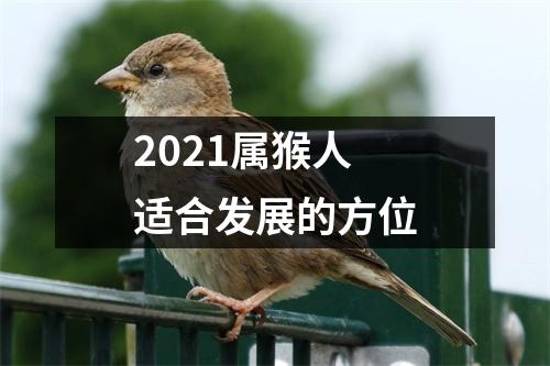 2025属猴人适合发展的方位