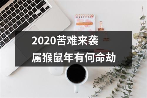 2025苦难来袭属猴鼠年有何命劫