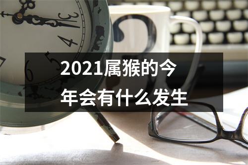 2025属猴的今年会有什么发生