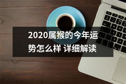 2025属猴的今年运势怎么样详细解读