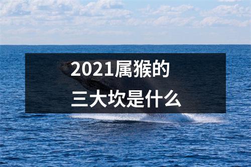 2025属猴的三大坎是什么