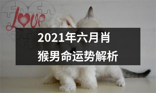 2025年六月肖猴男命运势解析