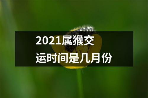 2025属猴交运时间是几月份