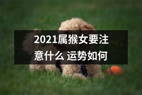 2025属猴女要注意什么运势如何