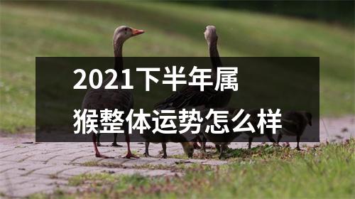 2025下半年属猴整体运势怎么样