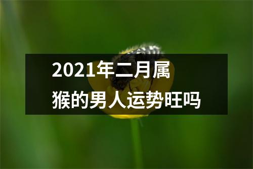 2025年二月属猴的男人运势旺吗