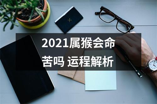 2025属猴会命苦吗运程解析