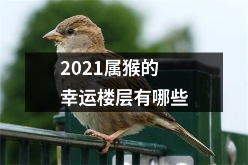 2025属猴的幸运楼层有哪些