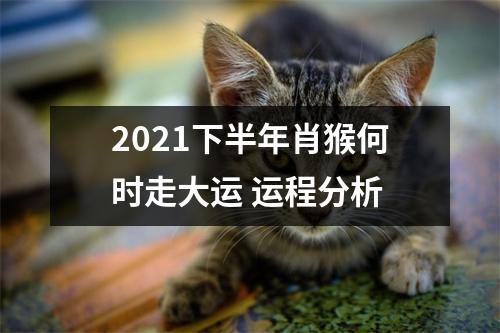 2025下半年肖猴何时走大运运程分析