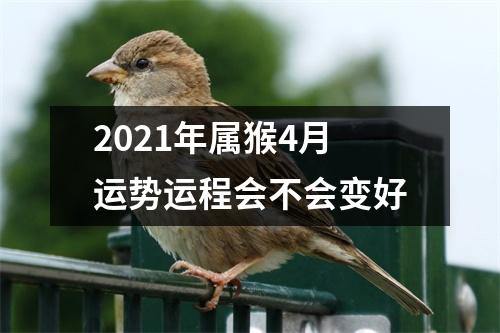 2025年属猴4月运势运程会不会变好