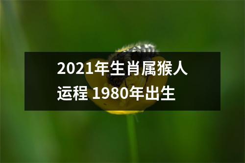 2025年生肖属猴人运程1980年出生