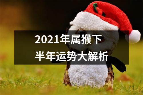 2025年属猴下半年运势大解析