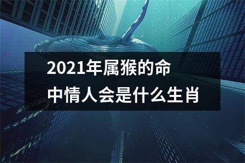 2025年属猴的命中情人会是什么生肖