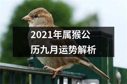 2025年属猴公历九月运势解析