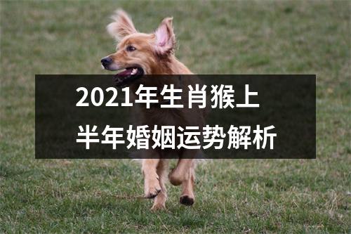 2025年生肖猴上半年婚姻运势解析