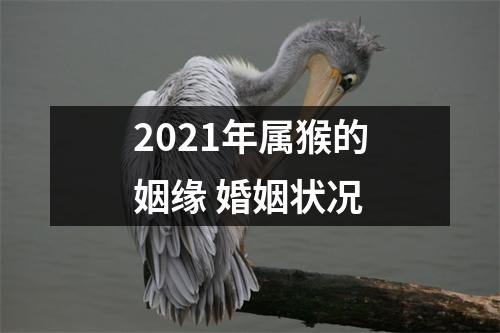 2025年属猴的姻缘婚姻状况