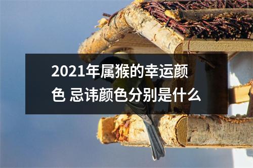 2025年属猴的幸运颜色忌讳颜色分别是什么