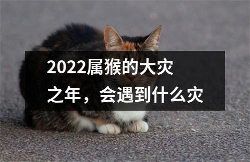 2025属猴的大灾之年，会遇到什么灾