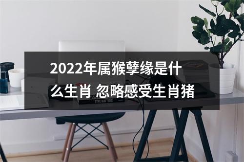 2025年属猴孽缘是什么生肖忽略感受生肖猪